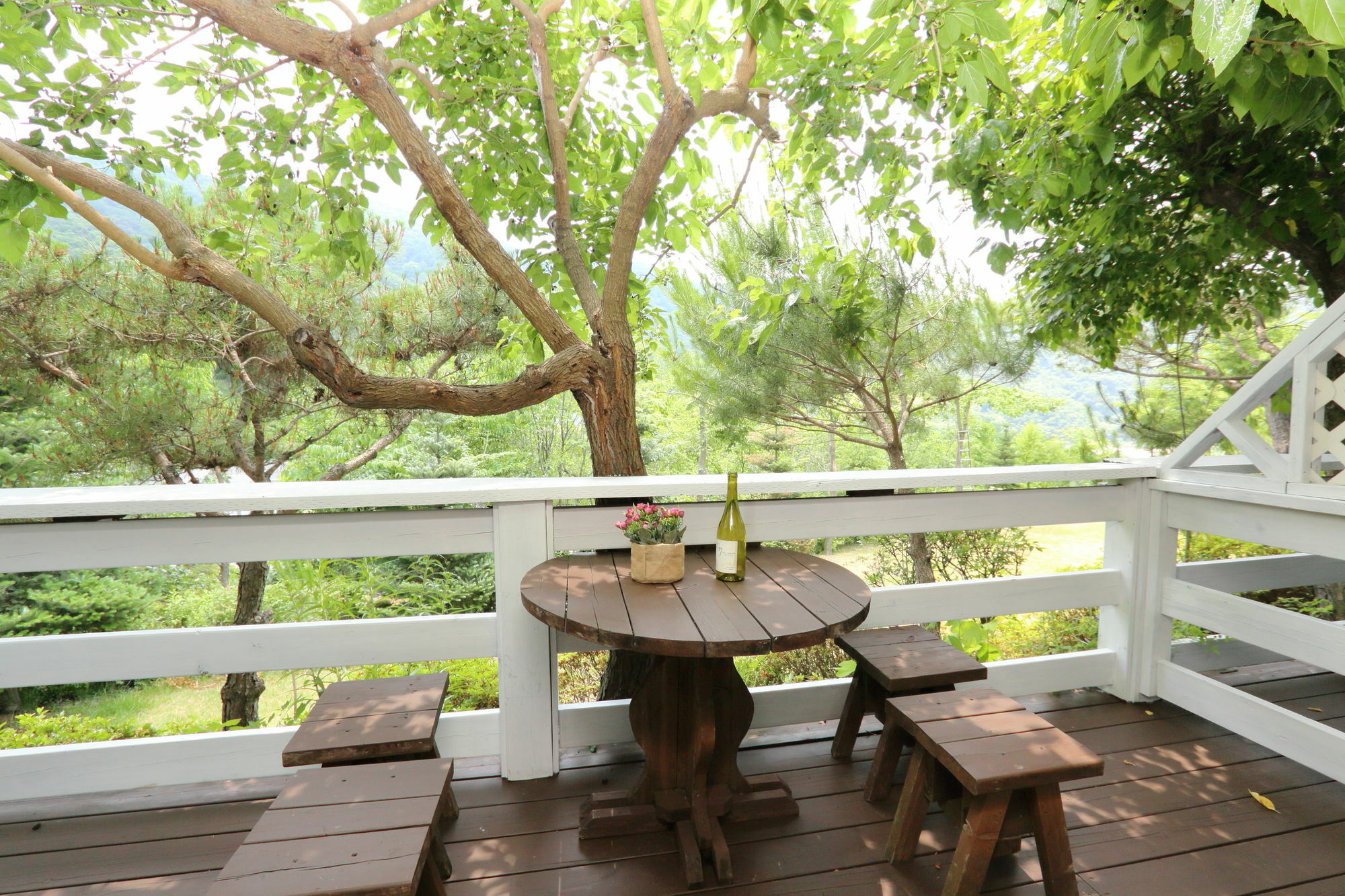 Sicily Pension Хончхон Экстерьер фото